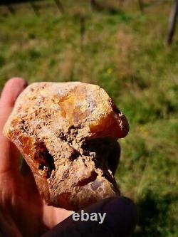 New Zealand Kauri Gum Young Amber Copal 153 gram piece