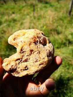 New Zealand Kauri Gum Young Amber Copal 153 gram piece