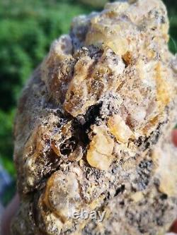 New Zealand Kauri Gum young amber copal 374 gram piece high grade carving