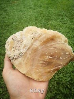 New Zealand Kauri Gum young amber copal 660 gram piece high quality