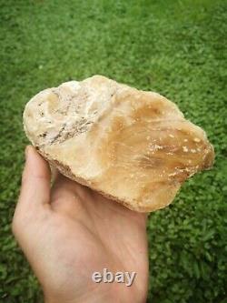 New Zealand Kauri Gum young amber copal 660 gram piece high quality