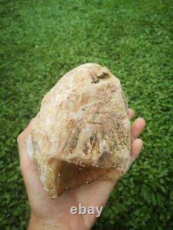 New Zealand Kauri Gum young amber copal 660 gram piece high quality