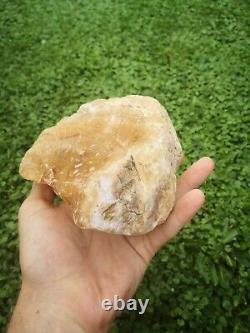 New Zealand Kauri Gum young amber copal 660 gram piece high quality