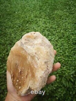 New Zealand Kauri Gum young amber copal 660 gram piece high quality