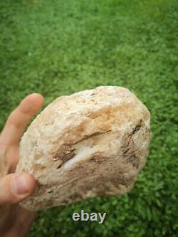 New Zealand Kauri Gum young amber copal 660 gram piece high quality