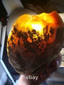 New Zealand Kauri Gum young amber copal 660 gram piece high quality