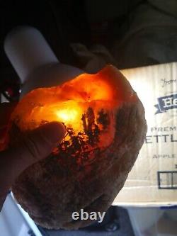 New Zealand Kauri Gum young amber copal 660 gram piece high quality