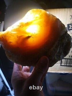 New Zealand Kauri Gum young amber copal 660 gram piece high quality