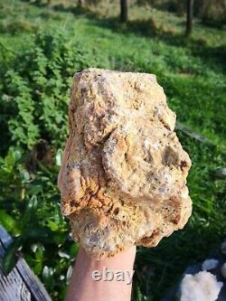 New Zealand Kauri Gum young amber copal 829 gram piece