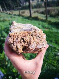 New Zealand Kauri Gum young amber copal 829 gram piece