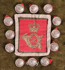 New Zealand Military and Police Buttons and Badges Collection