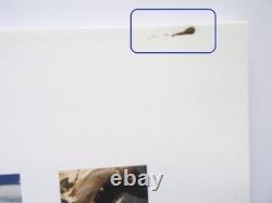 New Zealand Photo Collection Book Nature Landscape Scenery