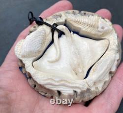 Nz Hand Carved Stag Antler Button Maori Whai Stingray In Fully Carved Case