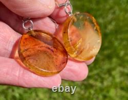 One Of Kind Ancient Nz Kauri Amber Kopal Kapia Maori Kopae Disk Hook Earrings