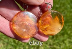 One Of Kind Ancient Nz Kauri Amber Kopal Kapia Maori Kopae Disk Hook Earrings
