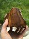 Petrified wood big 1.9 kg Rare New Zealand mineral Lapidary natural crystal