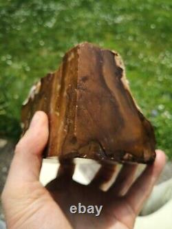 Petrified wood big 1.9 kg Rare New Zealand mineral Lapidary natural crystal