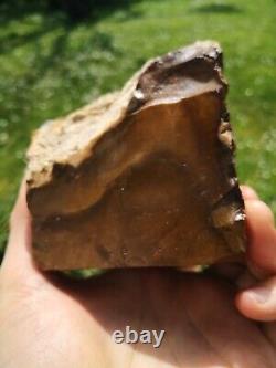 Petrified wood big 1.9 kg Rare New Zealand mineral Lapidary natural crystal