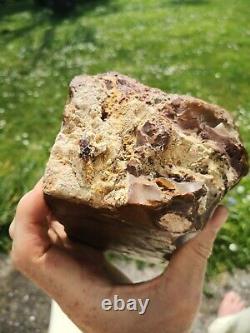 Petrified wood big 1.9 kg Rare New Zealand mineral Lapidary natural crystal