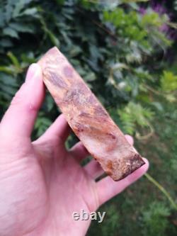 Picture Petrified wood New Zealand Mineral Slab Quality lapidary carving crystal