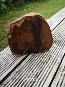 Picture Petrified wood New Zealand Mineral Slab Quality lapidary carving crystal