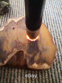 Picture Petrified wood New Zealand Mineral Slab Quality lapidary carving crystal