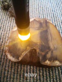 Picture Petrified wood New Zealand Mineral Slab Quality lapidary carving crystal