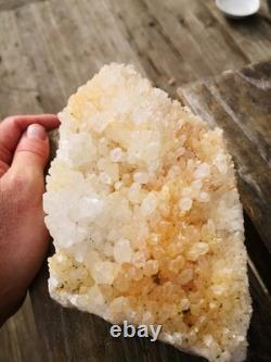 Quartz Crystal Cluster New Zealand Natural Big Cut base from Waihi gold mine
