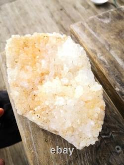 Quartz Crystal Cluster New Zealand Natural Big Cut base from Waihi gold mine