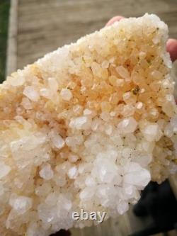 Quartz Crystal Cluster New Zealand Natural Big Cut base from Waihi gold mine