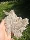 Selenite Flower Rare New Zealand Mineral Terminated Natural Specimen