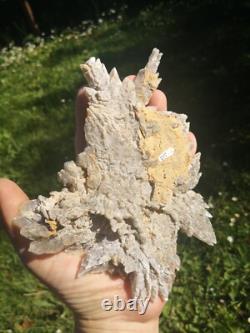 Selenite Flower Rare New Zealand Mineral Terminated Natural Specimen Selenite Flower Rare New Zealand Mineral Terminated Natural Specimen