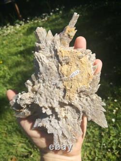 Selenite Flower Rare New Zealand Mineral Terminated Natural Specimen