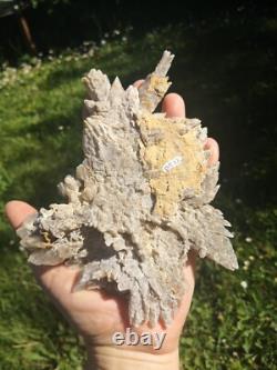 Selenite Flower Rare New Zealand Mineral Terminated Natural Specimen