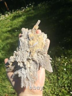 Selenite Flower Rare New Zealand Mineral Terminated Natural Specimen Selenite Flower Rare New Zealand Mineral Terminated Natural Specimen