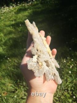 Selenite Flower Rare New Zealand Mineral Terminated Natural Specimen