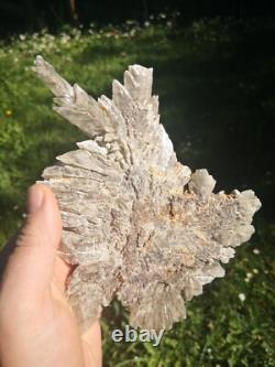 Selenite Flower Rare New Zealand Mineral Terminated Natural Specimen