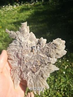 Selenite Flower Rare New Zealand Mineral Terminated Natural Specimen