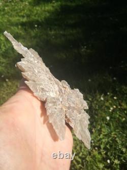 Selenite Flower Rare New Zealand Mineral Terminated Natural Specimen Selenite Flower Rare New Zealand Mineral Terminated Natural Specimen