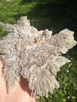 Selenite Flower Rare New Zealand Mineral Terminated Natural Specimen