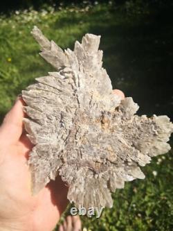 Selenite Flower Rare New Zealand Mineral Terminated Natural Specimen