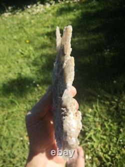 Selenite Flower Rare New Zealand Mineral Terminated Natural Specimen