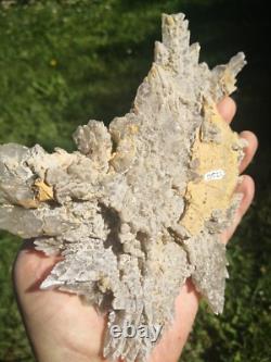 Selenite Flower Rare New Zealand Mineral Terminated Natural Specimen
