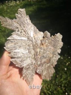 Selenite Flower Rare New Zealand Mineral Terminated Natural Specimen