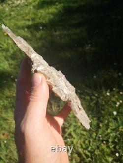 Selenite Flower Rare New Zealand Mineral Terminated Natural Specimen