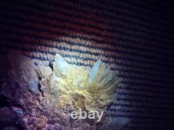 Selenite Flower Rare New Zealand Mineral Terminated Natural Specimen