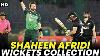 Shaheen Afridi All Wickets Collection Against New Zealand 2023 Pcb M2b2a