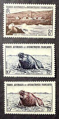 StampTLC France Antarctic New Zealand Pole Penguin MNH Over $300 Cat LOTS EXTRAS