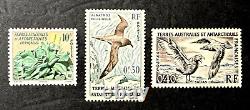 StampTLC France Antarctic New Zealand Pole Penguin MNH Over $300 Cat LOTS EXTRAS