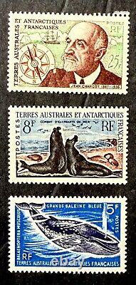 StampTLC France Antarctic New Zealand Pole Penguin MNH Over $300 Cat LOTS EXTRAS